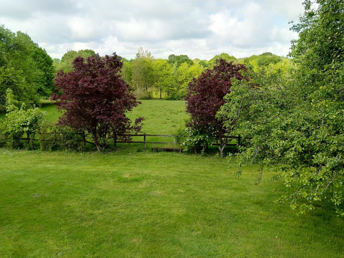 Chambres D'Hotes Domaine De La Jonquiere, Bouloire Екстер'єр фото