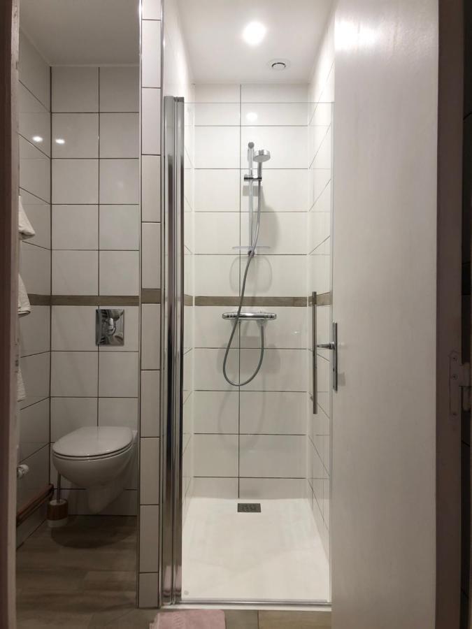 Chambres D'Hotes Domaine De La Jonquiere, Bouloire Екстер'єр фото
